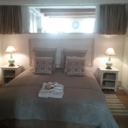 Apartment La Casa Victoria -stanislas Area -suite 65m2 Or Loft 75m2 *