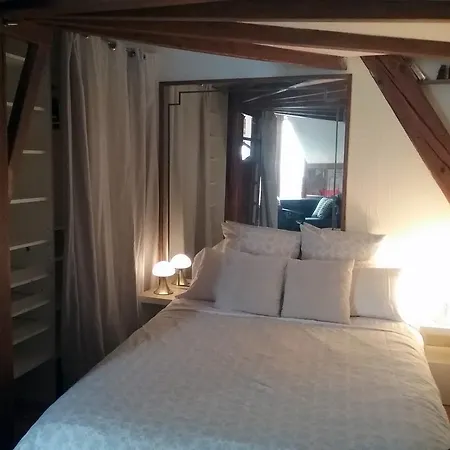 La Casa Victoria -stanislas Area -suite 65m2 Or Loft 75m2 Appartement