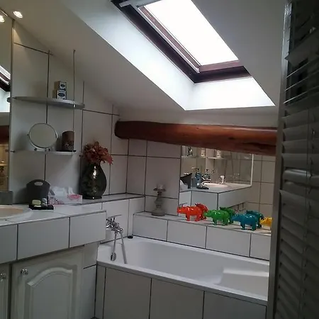 Apartment La Casa Victoria -stanislas Area -suite 65m2 Or Loft 75m2 *