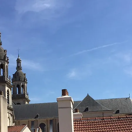 La Casa Victoria -stanislas Area -suite 65m2 Or Loft 75m2 Nancy