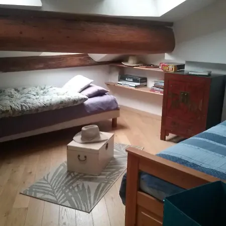 Apartment La Casa Victoria -stanislas Area -suite 65m2 Or Loft 75m2 Nancy