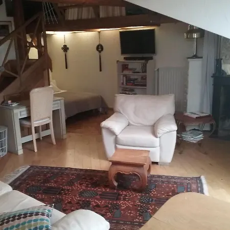 Apartment La Casa Victoria -stanislas Area -suite 65m2 Or Loft 75m2 *
