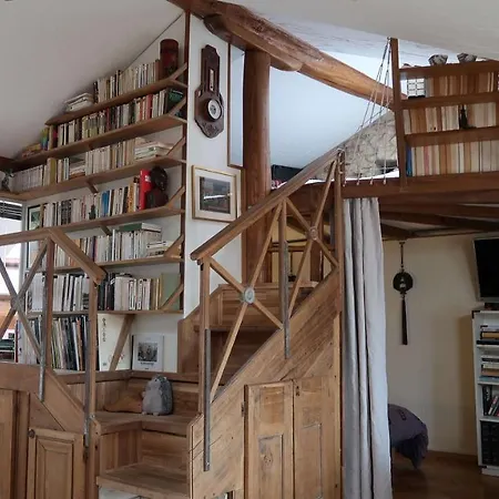 La Casa Victoria -stanislas Area -suite 65m2 Or Loft 75m2 Apartment Nancy
