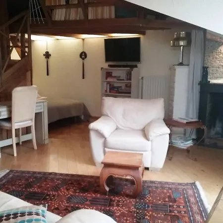 La Casa Victoria -stanislas Area -suite 65m2 Or Loft 75m2 * Nancy