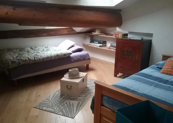 Apartment La Casa Victoria -stanislas Area -suite 65m2 Or Loft 75m2 Nancy